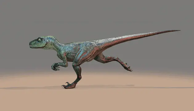 Raptor Run Cycle