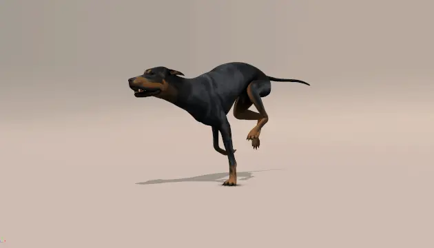 Dog Run Cycle