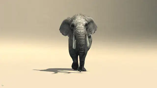 Elephant Walk Cycle