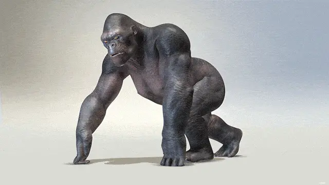 gorilla walk cycle