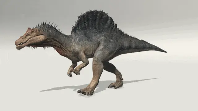 spinosaurus walk cycle