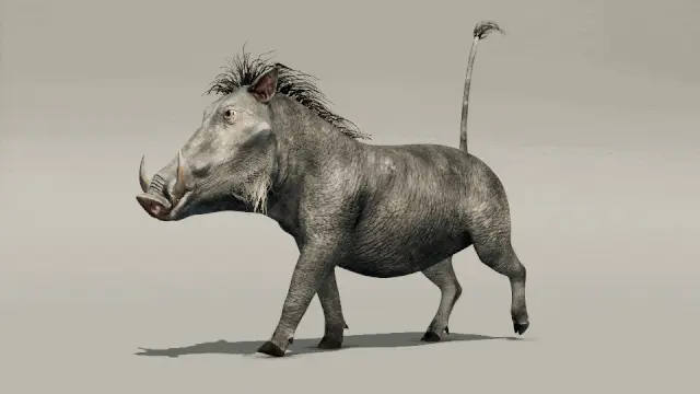 warthog walk cycle