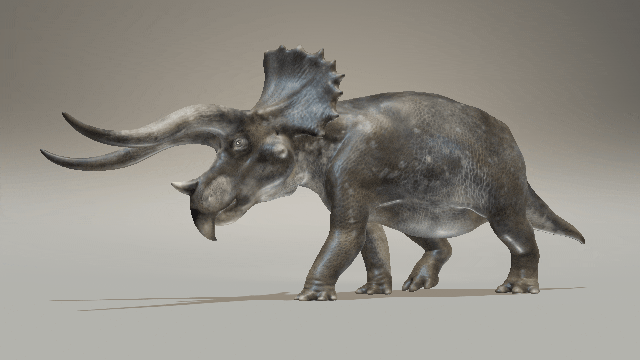 Triceratops Walk Cycle