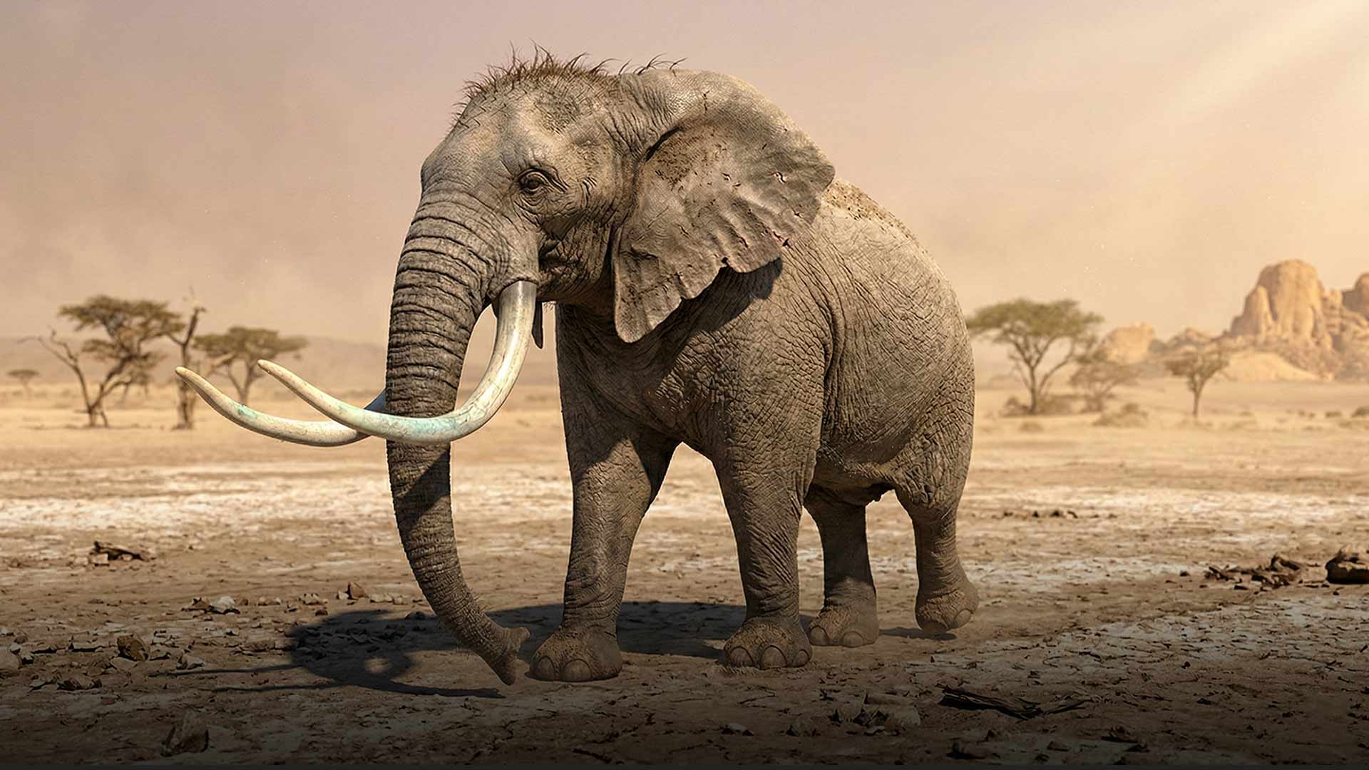 Elephant walk cycle animation demonstrating quadruped weight and timing differences